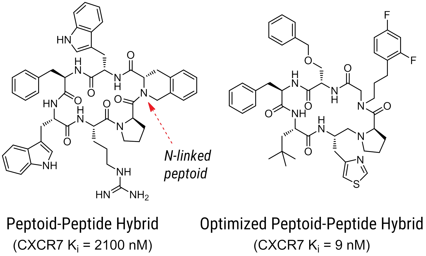 Optimized Peptide Peptoid Hybrid V5 Sm